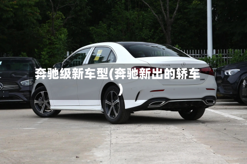 奔驰级新车型(奔驰新出的轿车)