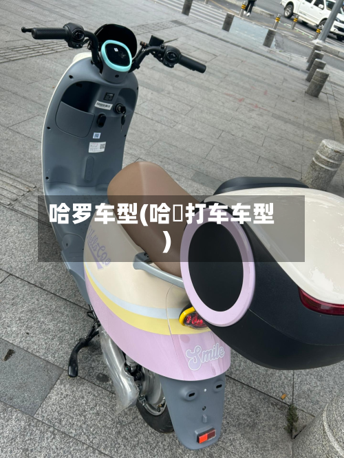 哈罗车型(哈啰打车车型)