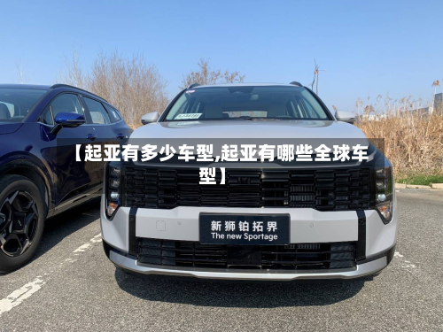 【起亚有多少车型,起亚有哪些全球车型】