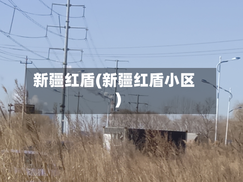 新疆红盾(新疆红盾小区)-第2张图片