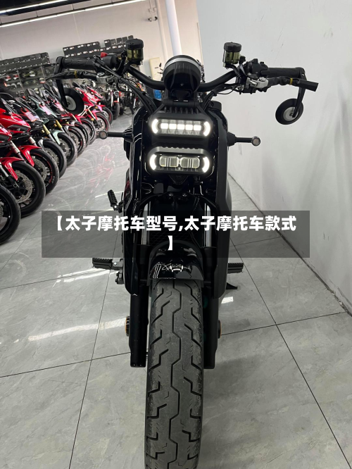 【太子摩托车型号,太子摩托车款式】