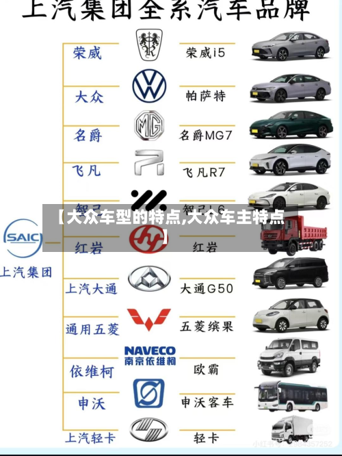 【大众车型的特点,大众车主特点】