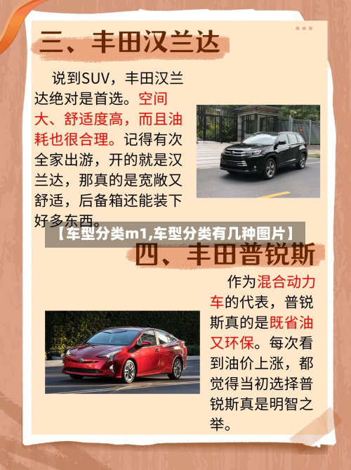 【车型分类m1,车型分类有几种图片】