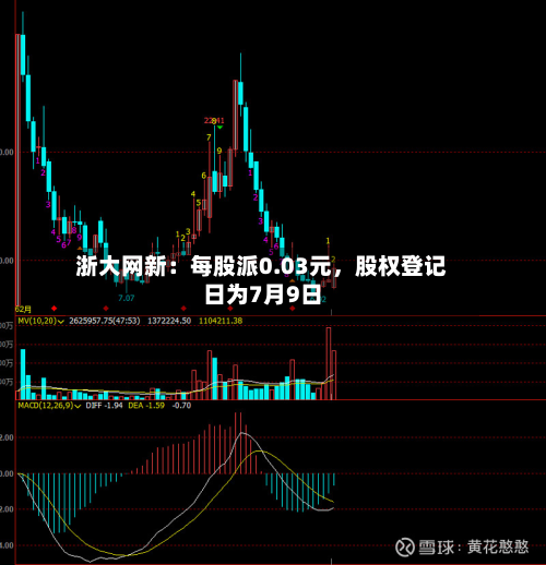 浙大网新:每股派0.03元,股权登记日为7月9日