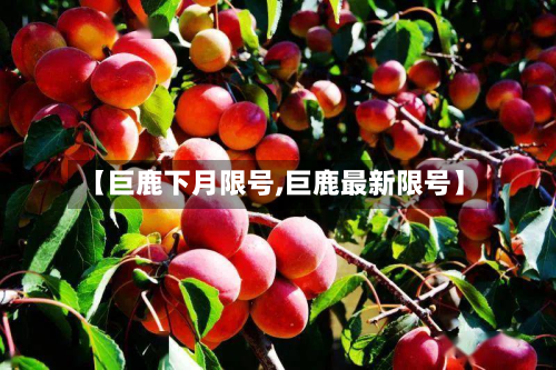 【巨鹿下月限号,巨鹿最新限号】-第2张图片