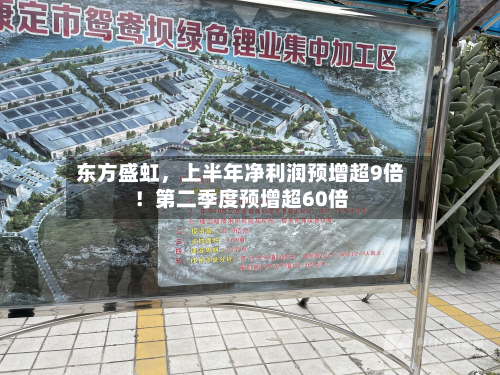 东方盛虹，上半年净利润预增超9倍！第二季度预增超60倍-第1张图片