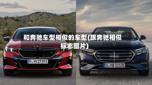 和奔驰车型相似的车型(跟奔驰相似标志图片)