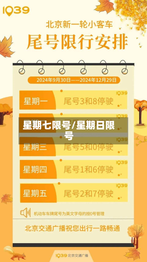 星期七限号/星期日限号