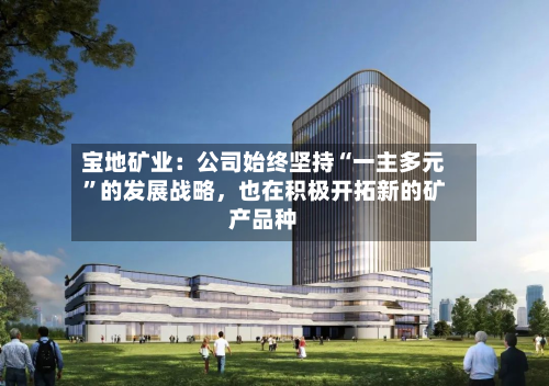 宝地矿业：公司始终坚持“一主多元	”的发展战略，也在积极开拓新的矿产品种-第1张图片