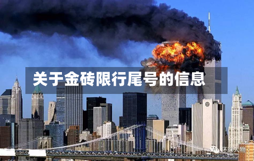 关于金砖限行尾号的信息-第2张图片