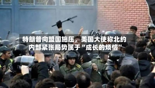 特朗普向盟国施压，美国大使称北约内部紧张局势属于“成长的烦恼”-第2张图片