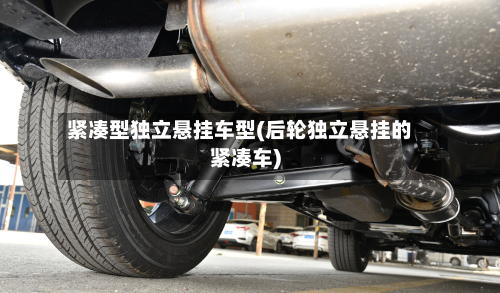 紧凑型独立悬挂车型(后轮独立悬挂的紧凑车)-第2张图片