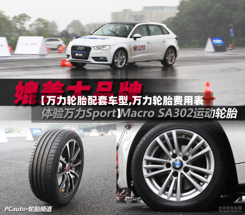 【万力轮胎配套车型,万力轮胎费用表】