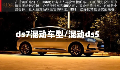 ds7混动车型/混动ds5-第2张图片