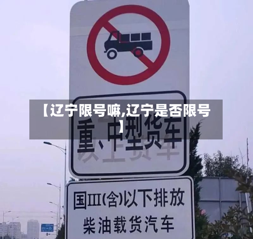 【辽宁限号嘛,辽宁是否限号】-第3张图片
