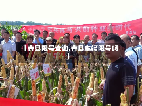 【曹县限号查询,曹县车辆限号吗】