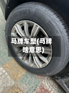 马牌车型(马牌啥意思)-第2张图片
