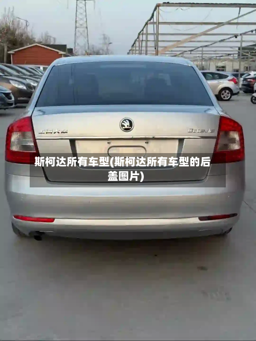 斯柯达所有车型(斯柯达所有车型的后盖图片)-第2张图片