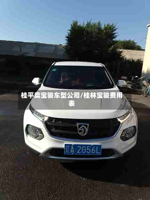 桂平卖宝骏车型公司/桂林宝骏费用表-第3张图片