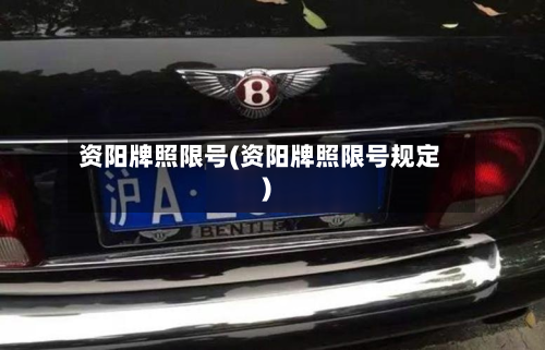 资阳牌照限号(资阳牌照限号规定)-第3张图片