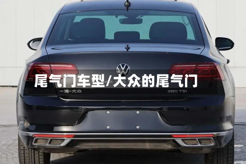 尾气门车型/大众的尾气门