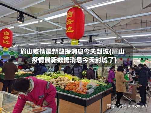 眉山疫情最新数据消息今天封城(眉山疫情最新数据消息今天封城了)-第3张图片