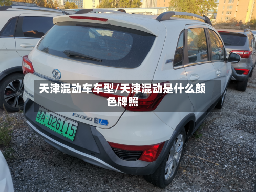 天津混动车车型/天津混动是什么颜色牌照