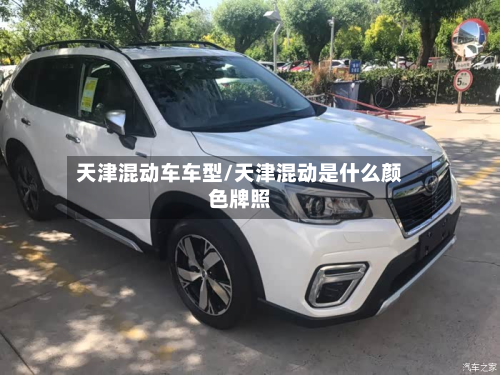 天津混动车车型/天津混动是什么颜色牌照-第2张图片