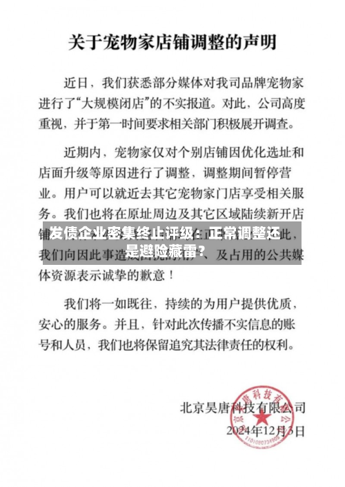 发债企业密集终止评级：正常调整还是避险藏雷？-第2张图片