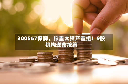 300567停牌，拟重大资产重组！9股机构逆市抢筹-第2张图片