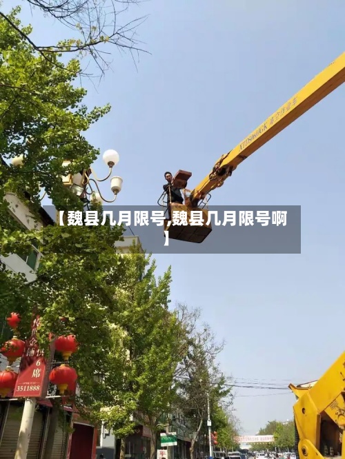 【魏县几月限号,魏县几月限号啊】-第2张图片