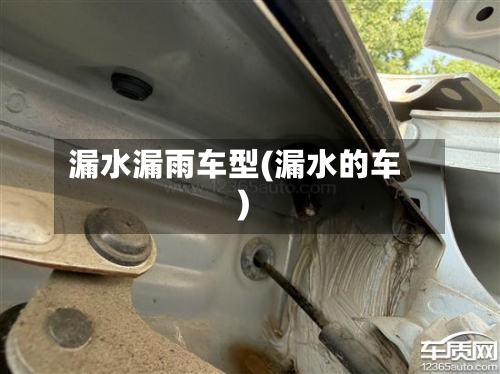 漏水漏雨车型(漏水的车)-第3张图片