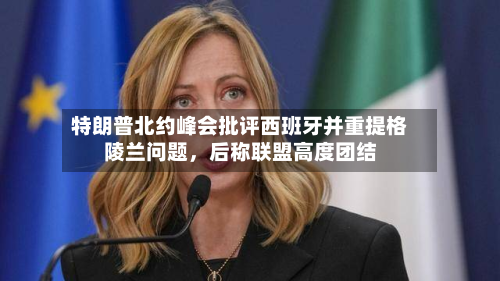 特朗普北约峰会批评西班牙并重提格陵兰问题，后称联盟高度团结-第1张图片