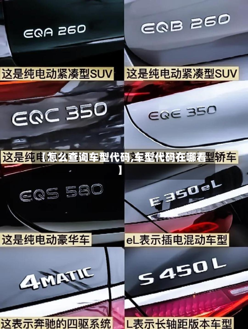 【怎么查询车型代码,车型代码在哪看】-第2张图片