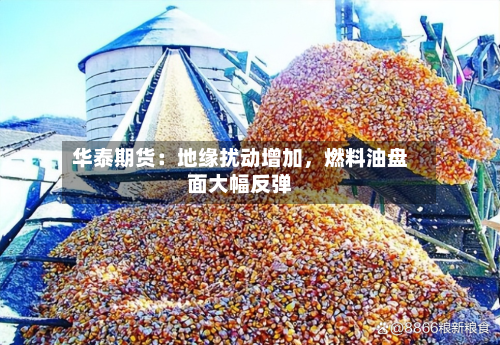 华泰期货：地缘扰动增加，燃料油盘面大幅反弹-第1张图片