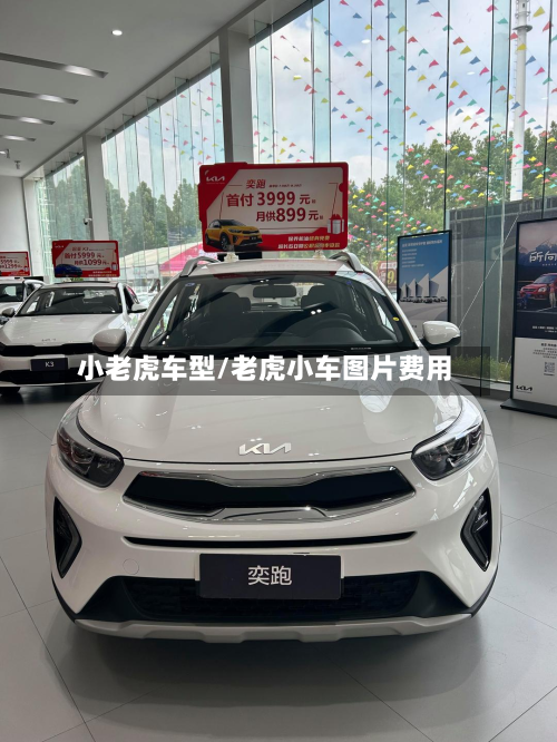 小老虎车型/老虎小车图片费用-第2张图片
