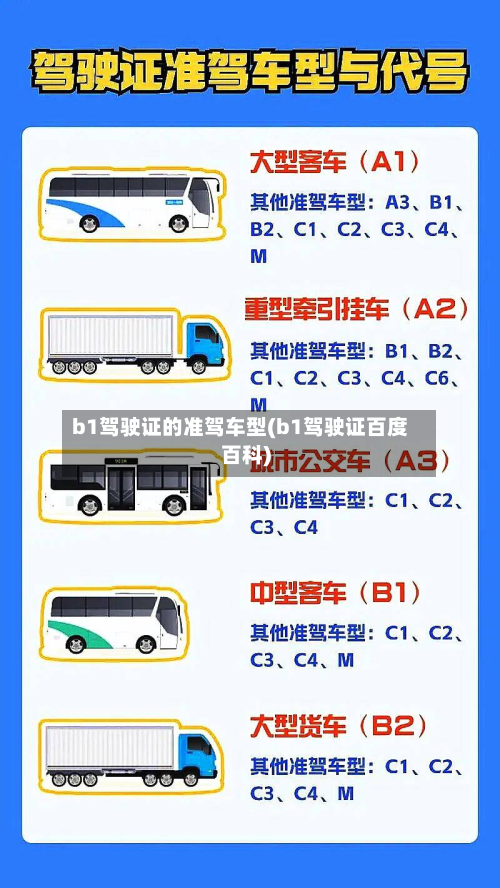 b1驾驶证的准驾车型(b1驾驶证百度百科)
