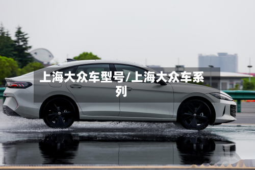 上海大众车型号/上海大众车系列-第2张图片