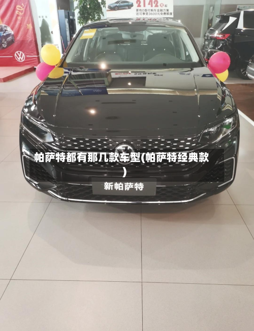 帕萨特都有那几款车型(帕萨特经典款)-第2张图片