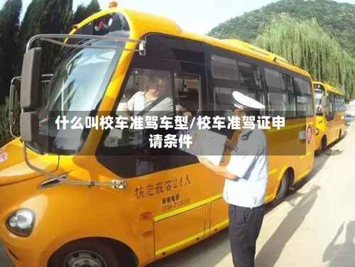 什么叫校车准驾车型/校车准驾证申请条件-第2张图片