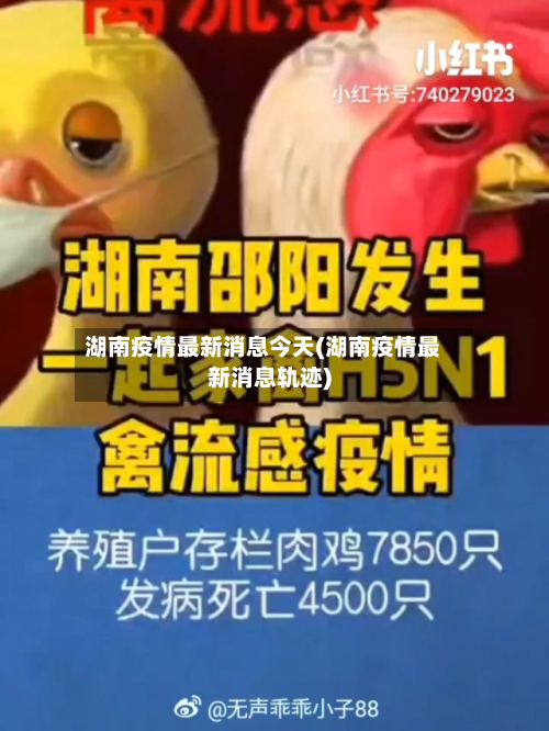湖南疫情最新消息今天(湖南疫情最新消息轨迹)-第2张图片