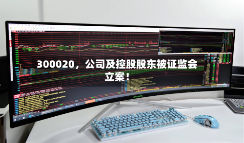 300020，公司及控股股东被证监会立案！-第2张图片