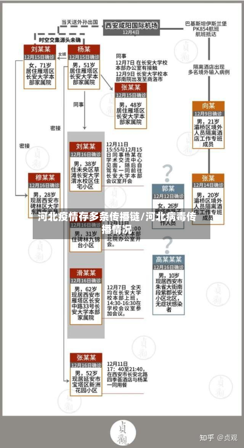 河北疫情存多条传播链/河北病毒传播情况
