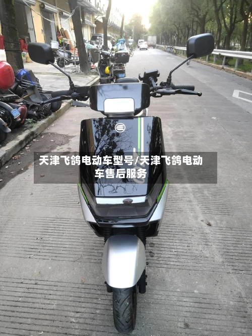 天津飞鸽电动车型号/天津飞鸽电动车售后服务