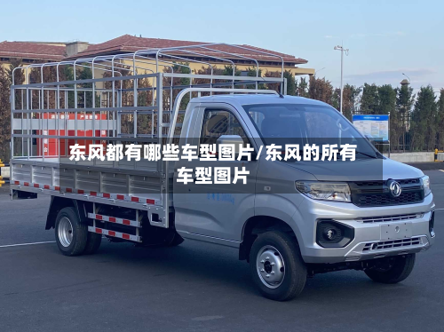 东风都有哪些车型图片/东风的所有车型图片-第2张图片