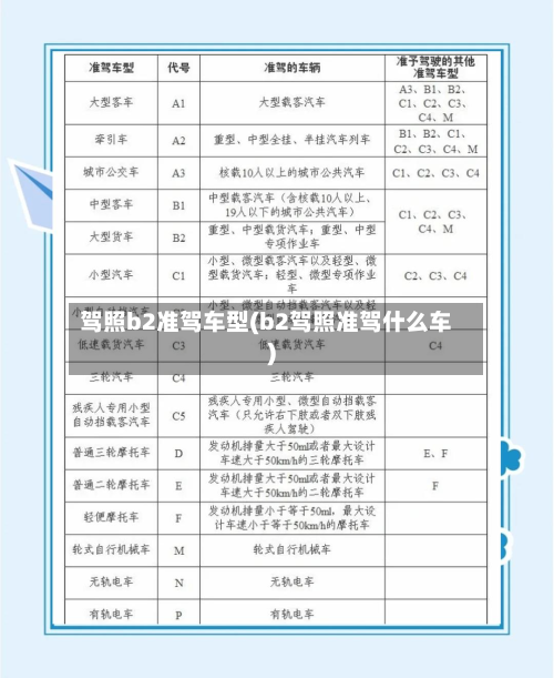 驾照b2准驾车型(b2驾照准驾什么车)