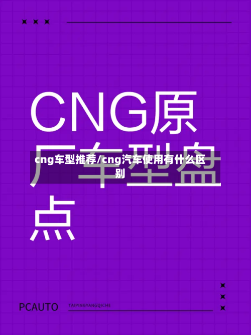 cng车型推荐/cng汽车使用有什么区别-第2张图片