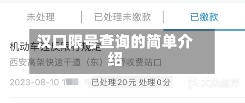 汉口限号查询的简单介绍-第3张图片