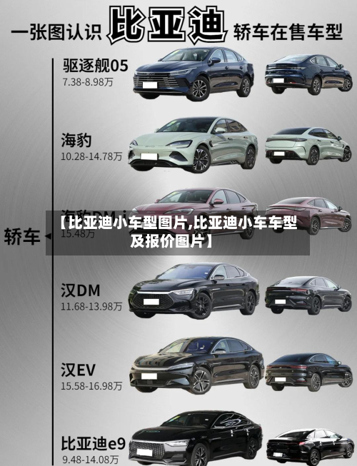【比亚迪小车型图片,比亚迪小车车型及报价图片】
