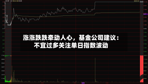 涨涨跌跌牵动人心，基金公司建议：不宜过多关注单日指数波动-第2张图片